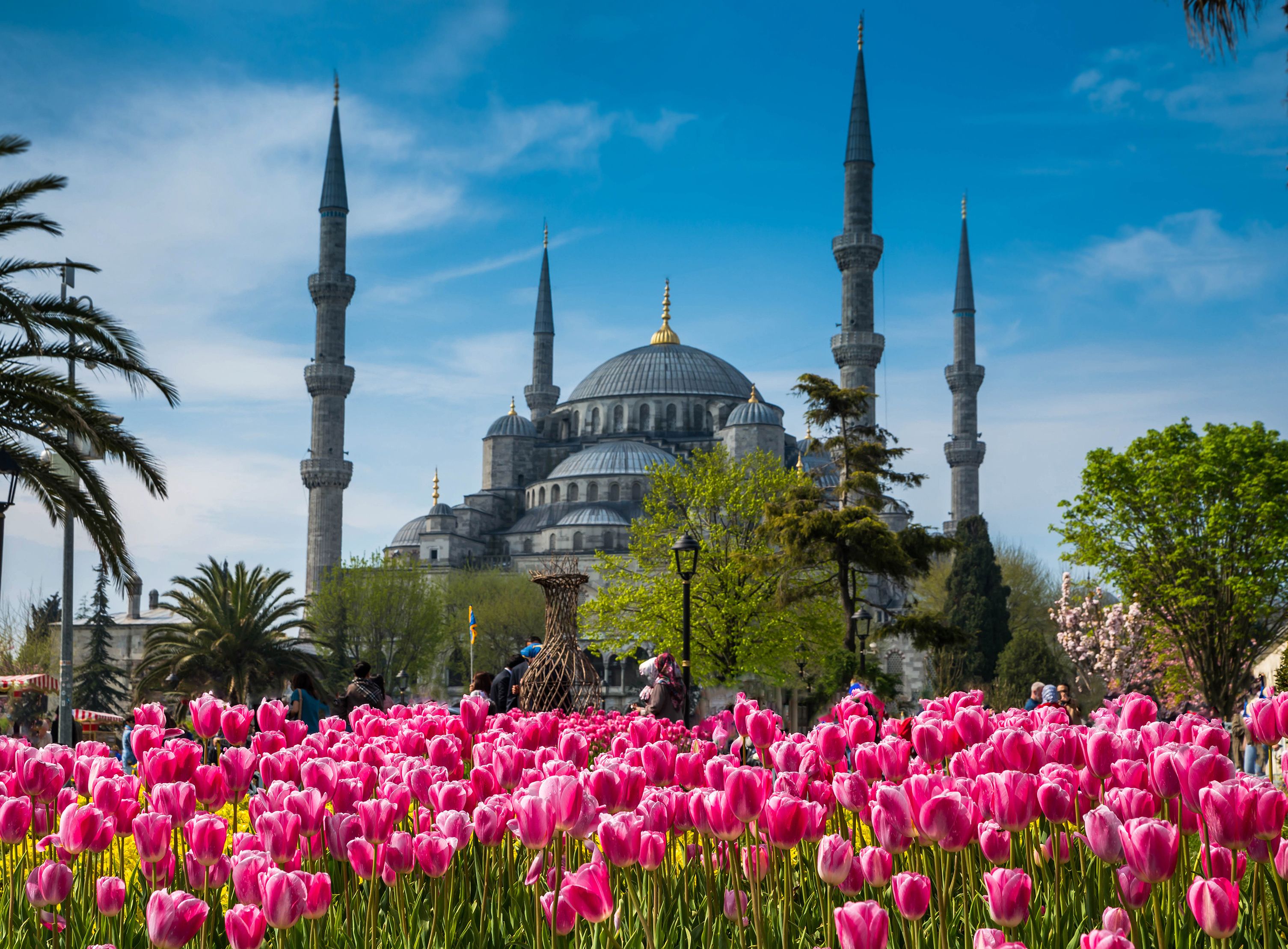 The Sultan Ahmed Mosque